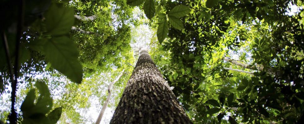 De mãos dadas com a sustentabilidade