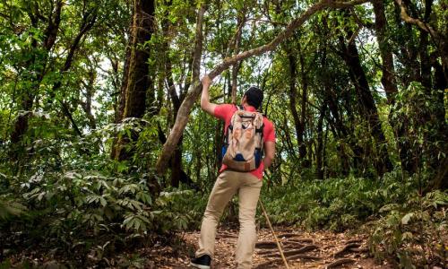 Trilha Ecológica Guiada